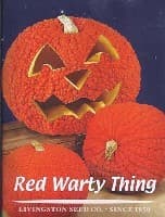 Red Warty Pumpkin