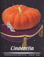 Cinderella Pumpkin