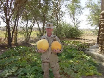 Growing Pumpkins in Iraq 08