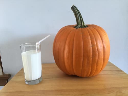 Milk Fed Pumpkins