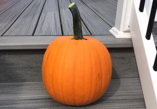 Pumpkin on Porch
