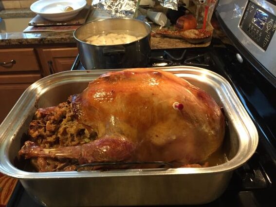 Thanksgiving Turkey