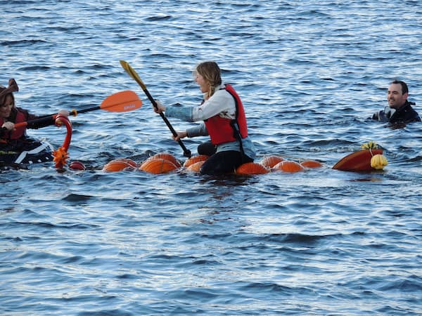 Darmariscotta Pumpkin Boat Regatta