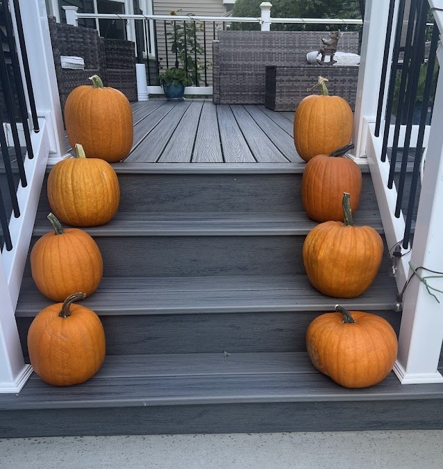 Pumpkin Picking Tips