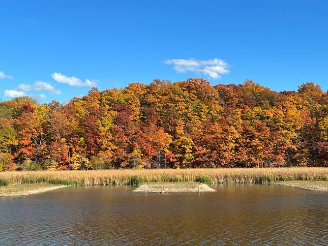Fall Leaves Turning Point Park