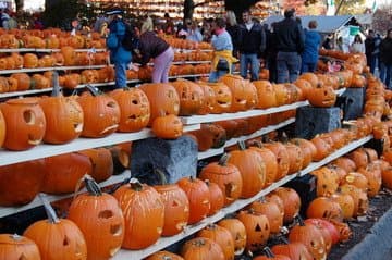 Jack o-lanterns 2025