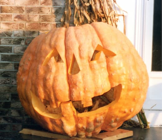 Giant Pumpkin