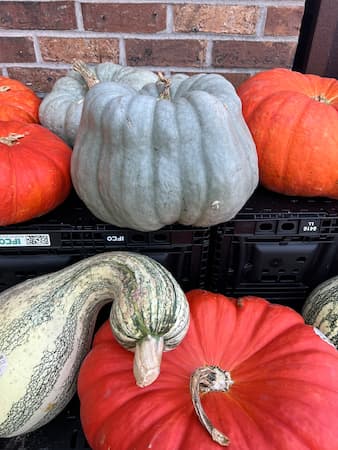 Pumpkin Display. Pumpkin Oatmeal Cookies recipe. Pumpkin Oatmeal Muffins. Grand Marnier Pumpkin Preserves, Raisin muffins