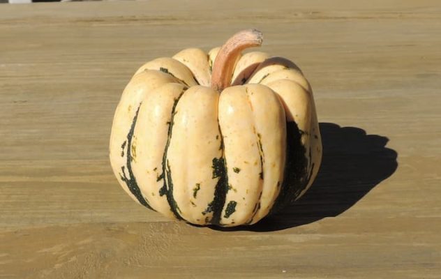 Stuffed Miniature Pumpkin Recipe