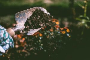 Garden Soil Fall-Clean-up